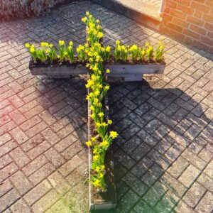 Das Bild zeigt einen Blumenkasten in Form eines Kreuzes, in dem Osterglocken wachsen.